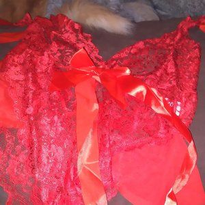 Red teddy
